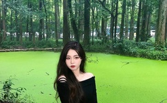 中文字幕无码高清晰